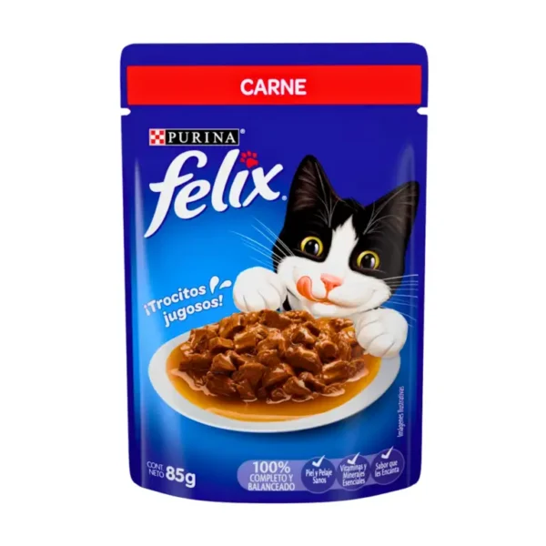 felix carne sobre