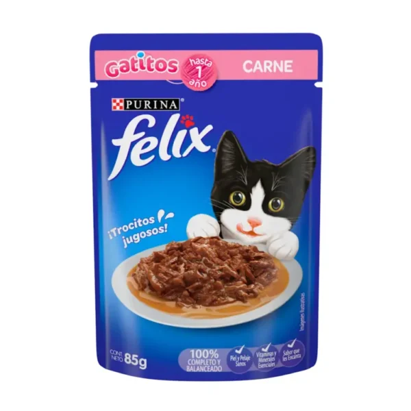 felix gatitos carne sobre