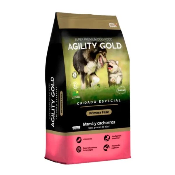 agility gold primera fase